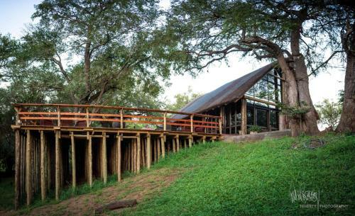 Rio Dos Elefantes River Camp