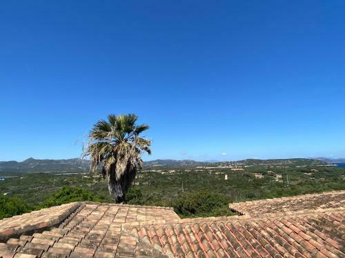 Apartamento Villetta Capo Coda Cavallo