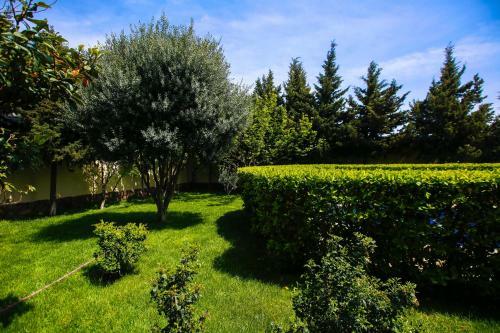 Best Villa Of Baku