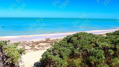 Lemnus Luxury Villa Walking Distance To Chicxulub