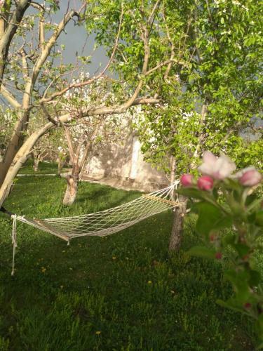Barseghyans Family Guest House