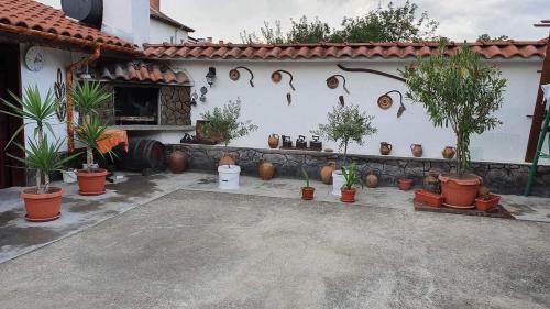 Hostal ???? ?? ????? '' ??????? ''