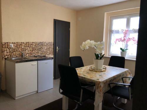 Apartamento Goldenesvogtland Fewo&monteurzimmer