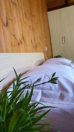 Hotel Seaside Bungalows