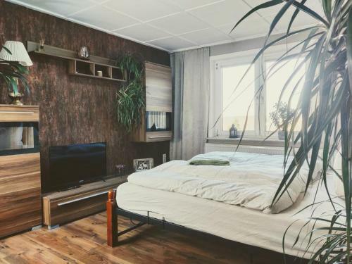 Apartamento Ferienwohnung Malu-sol