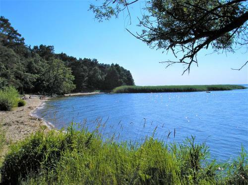 Apartamento Fischerhaus Godewind 60 Qm