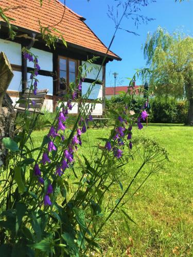 Apartamento Fischerhaus Godewind 60 Qm