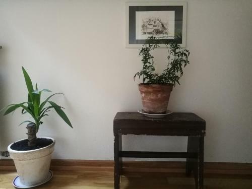 Green Vagon, Farm B&B Rooms For Rent