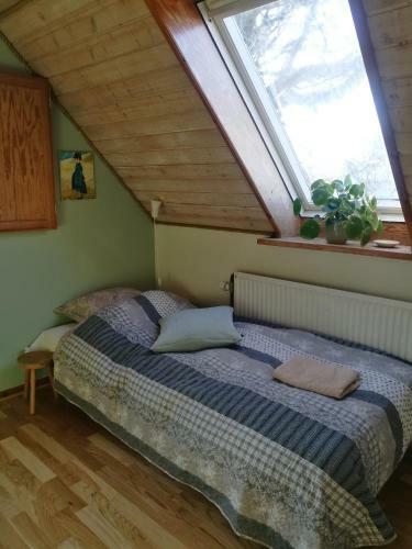 Green Vagon, Farm B&B Rooms For Rent