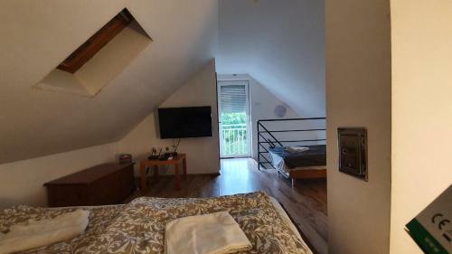 Littlepanther Balaton