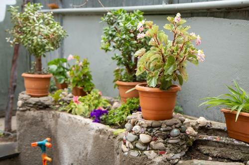 Albergue Tsera House