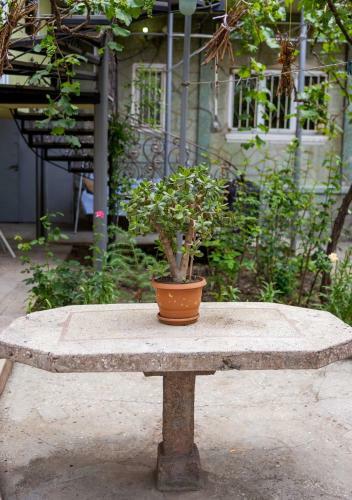 Albergue Tsera House
