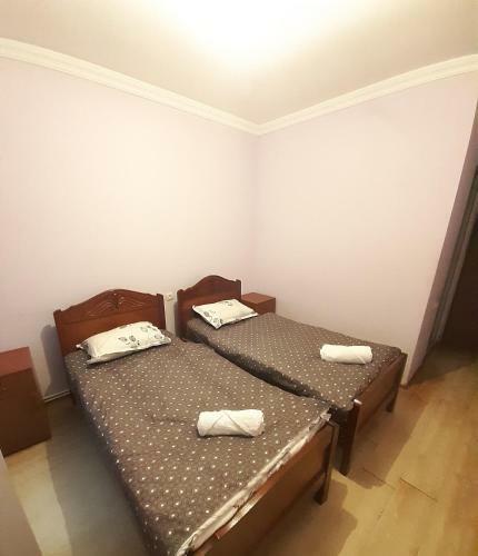 Lostinn Kazbegi Hostel