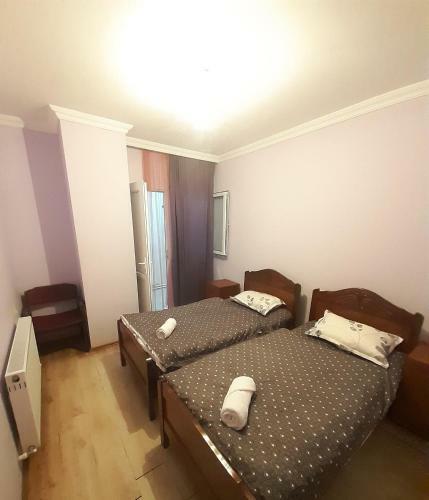 Lostinn Kazbegi Hostel