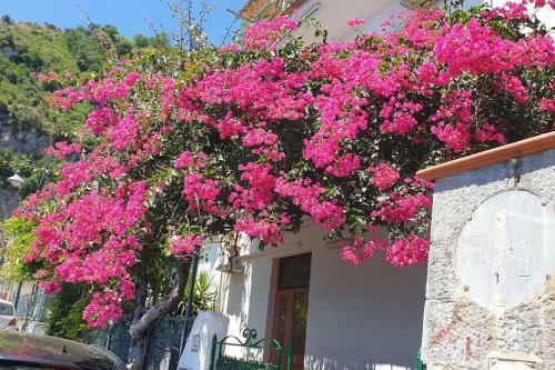 Casa Grace Amalfi