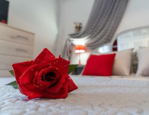 Apartamento Elisabeth House