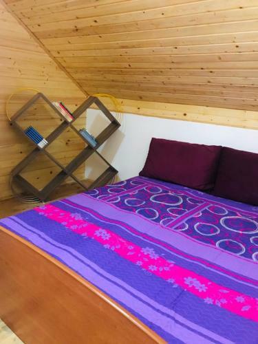 Nature Apartmani
