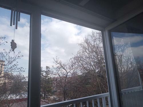 Apartment Heaven