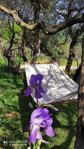 B&B La Casina Di Iris