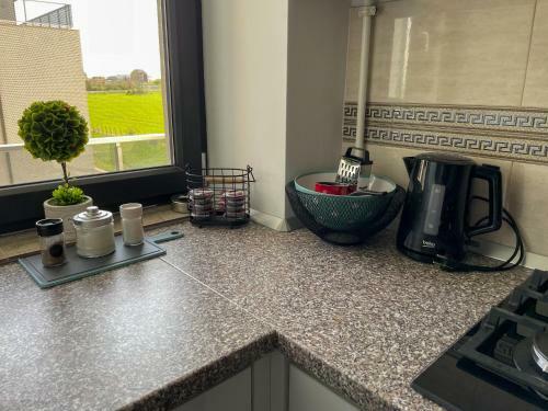 Apartament Delfinul 20 - Bychoice