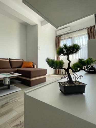 Apartament Delfinul 20 - Bychoice