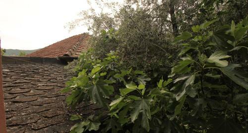 Studio Apartment On Donji Put, Kotor