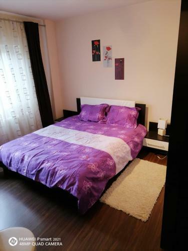 Exclusive Apartments Arad