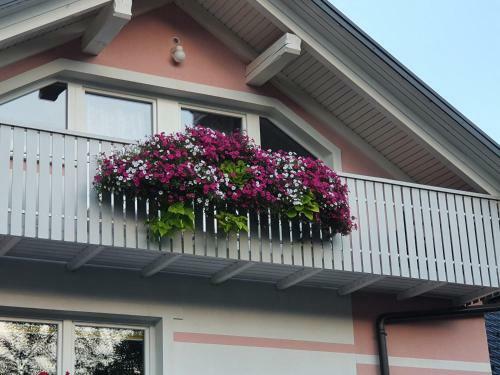 Apartma David