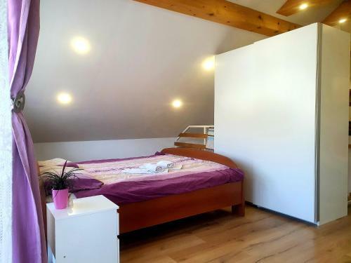 Apartma David