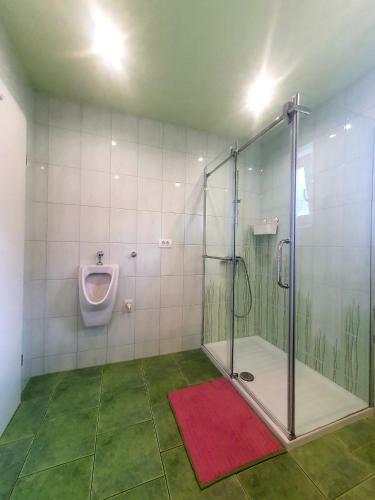 Apartma David