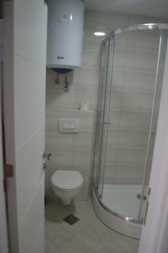 A?anski Apartment