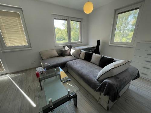 Apartment Rosni?ka With King Bed, Balcony, Free Parking
