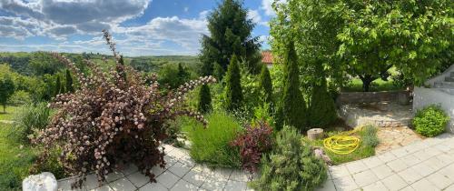 Villa Zora?s Home