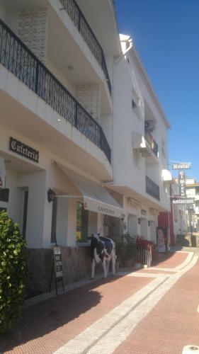 Hostal El Brezo