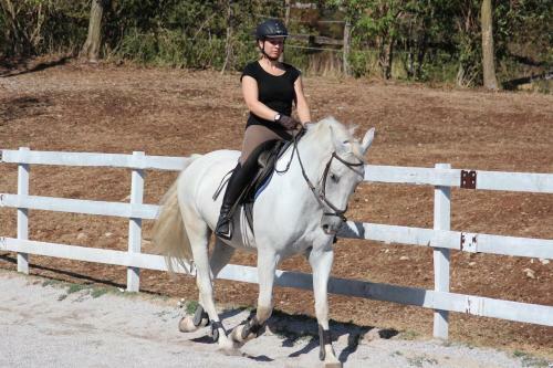 Agroturismo Country House Lokev