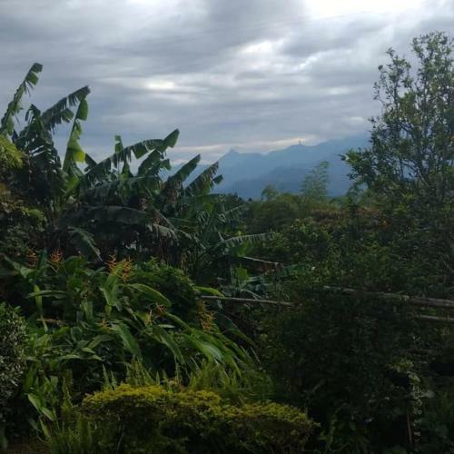 Finca Villa Rosa