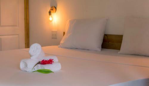 Hotel Coliving Bocas