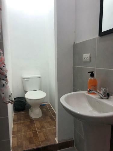 Peleg's Apartment