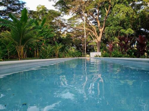Jungle Lodge- Casa Caracoles-feeling Trees