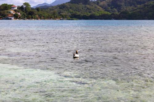 Casa Frente Al Mar En Isla Grande