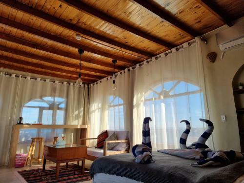 Hotel The Bedouin Moon Studios