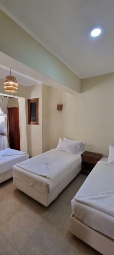 Hotel The Bedouin Moon Studios