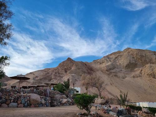 Hotel The Bedouin Moon Studios