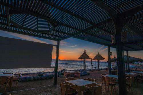 Hotel The Bedouin Moon Studios