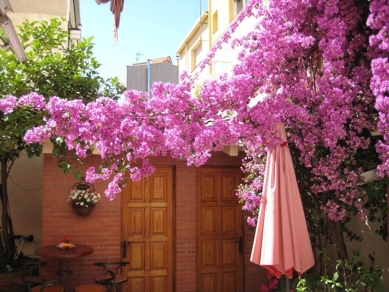 Hostal Pension Casa Austria