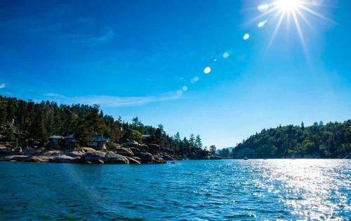 Cozy Bear Lookout #1778 By Big Bear Vacations