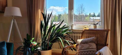Apartamento Ferienwohnung Ingrid