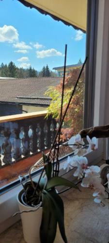 Apartamento Ferienwohnung Ingrid