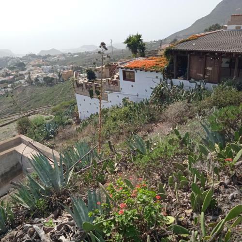 Cozy Cottage With The Best View In Tenerife