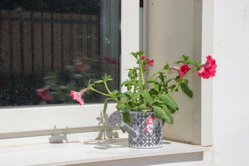 Apartamento Villa Bella